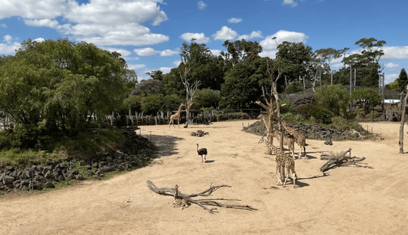 オークランド動物園