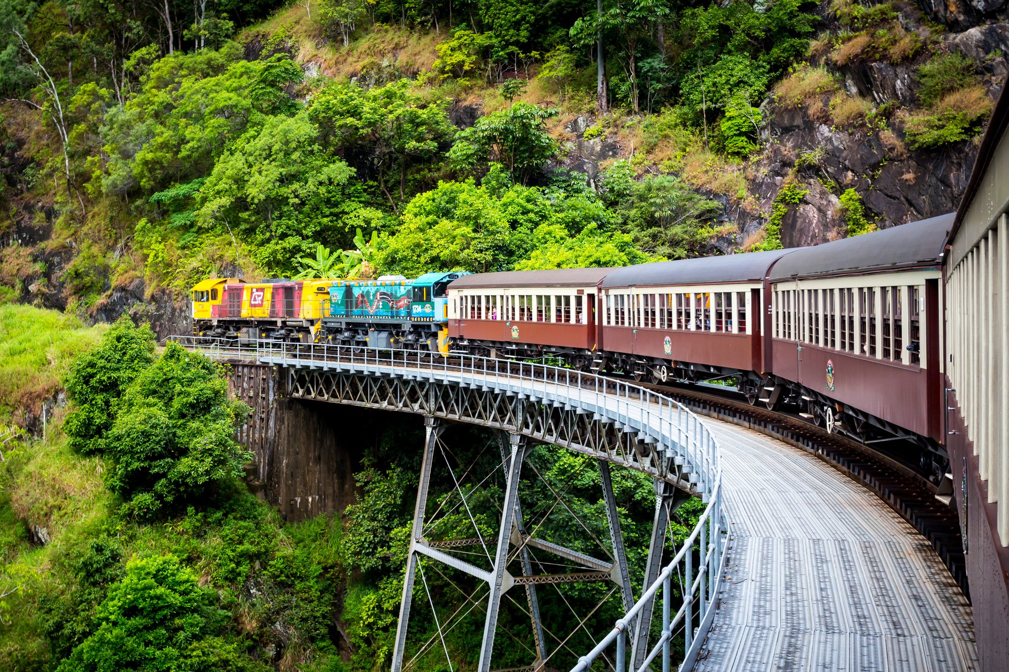 キュランダ鉄道（高原列車）と世界遺産キュランダの観光を贅沢に楽しむツアーです。スカイレール（ロープウェイ×モノレール）や水陸両用車で熱帯雨林を探検！しかも嬉しい送迎付き♪ わくわくの冒険に出かけましょう！