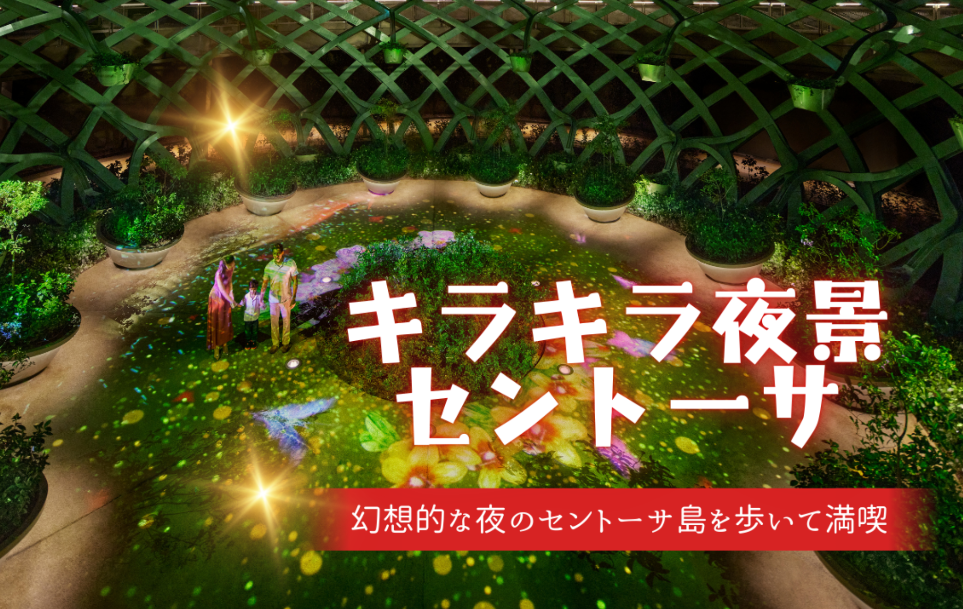 キラキラ夜景セントーサ