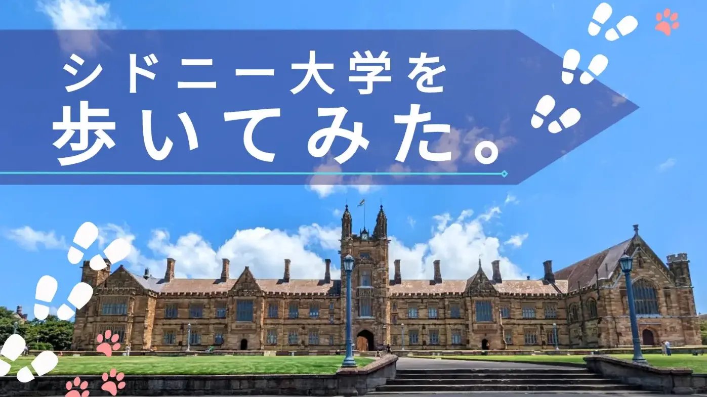 シドニー大学を歩いてみた【知りたい!現地の暮らし】