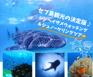 ジンベイザメウォッチング＆シュノーケリングとスミロン島スノーケリング（昼食付き）