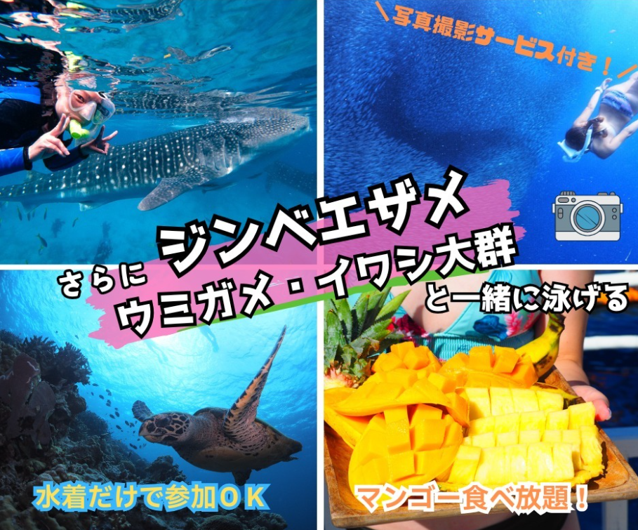 セブの見どころ凝縮!シュノーケリング