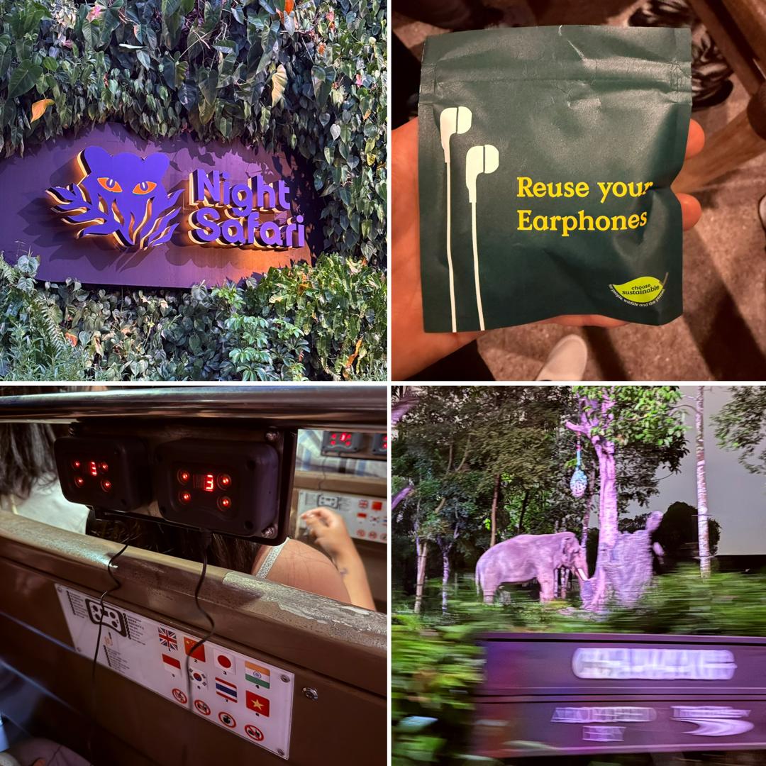 ナイトサファリ