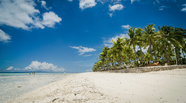 Bohol Island