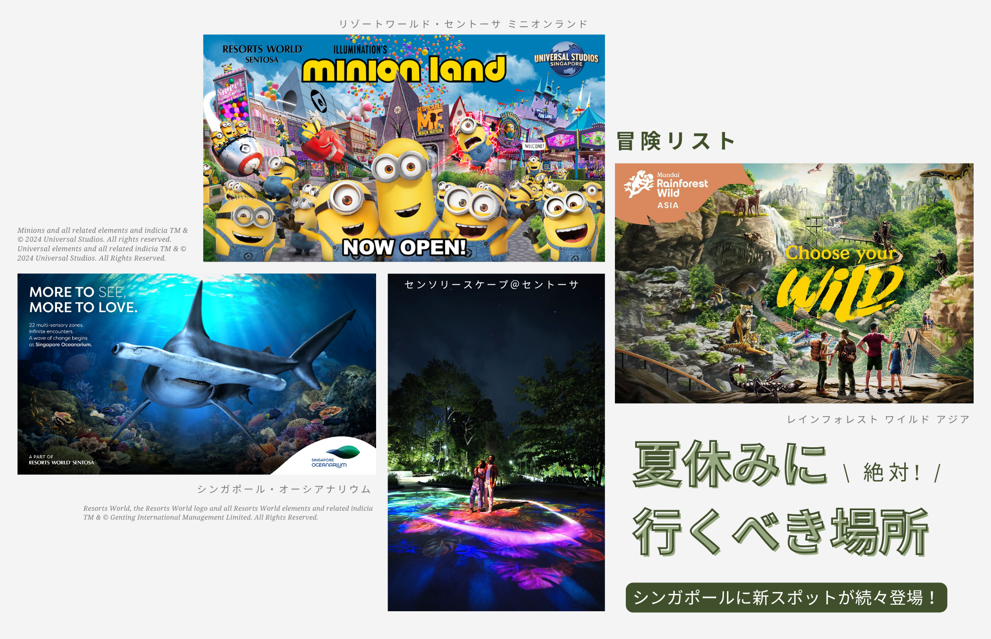 夏の旅行-4