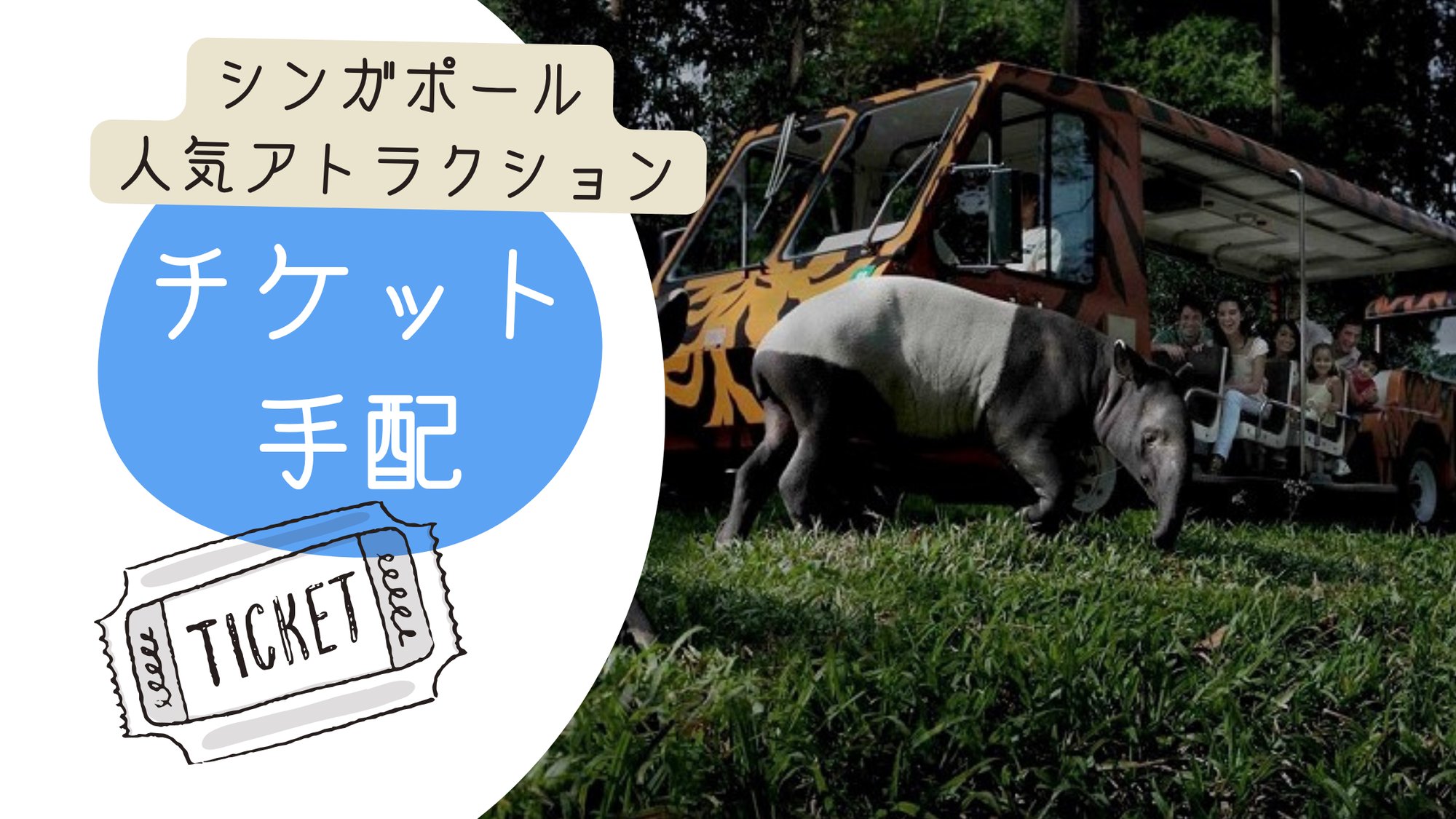 白と青-1