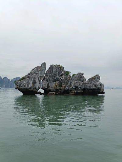魚の形をした岩