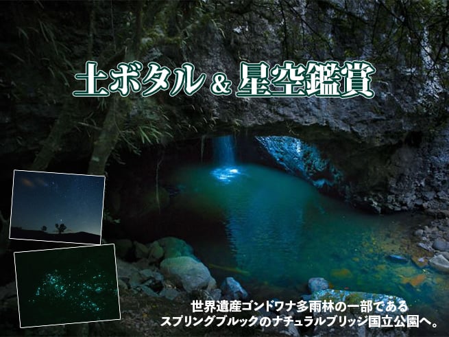 土ボタル ゴールドコースト
