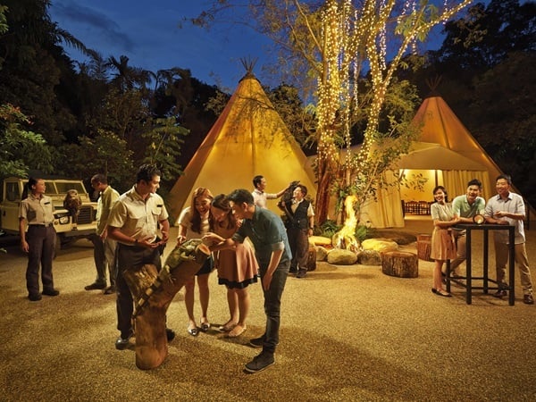 200013215_base_17267075086880