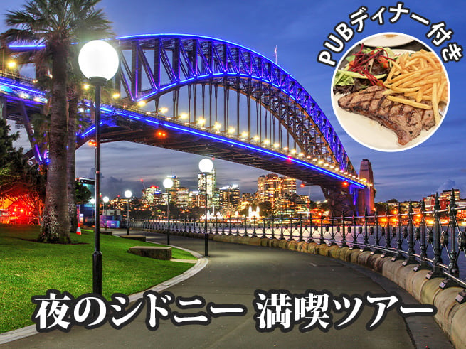 パブディナー(夜景鑑賞ツアー付)