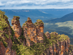 ブルーマウンテン + キングステーブル &amp; ルーラ