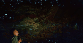 土ボタル観察 ゴールドコースト夜の自然体験ツアー