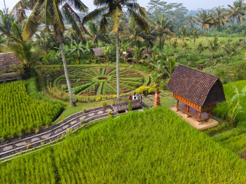 バリ島ファーム・トゥ・テーブル体験