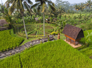 バリ島ファーム・トゥ・テーブル体験