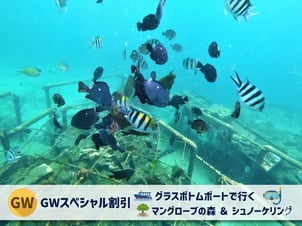 GW special バリ
