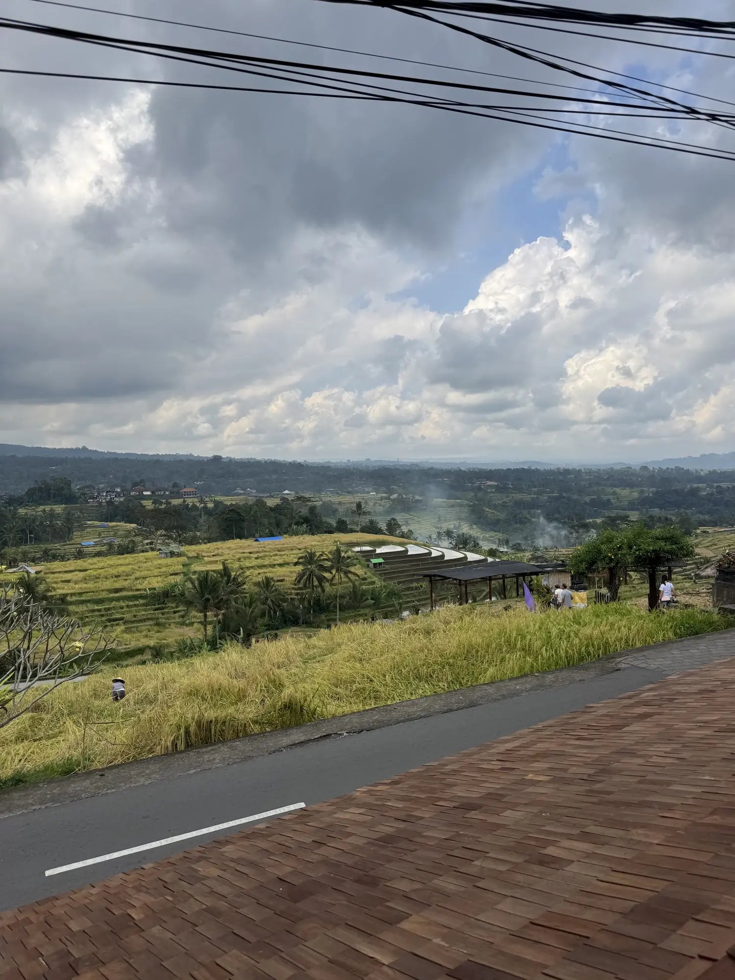 IDN1_RiceTerraceView_006