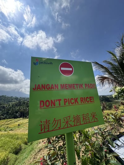 IDN1_jatiluwih_dont_pick_rice_001