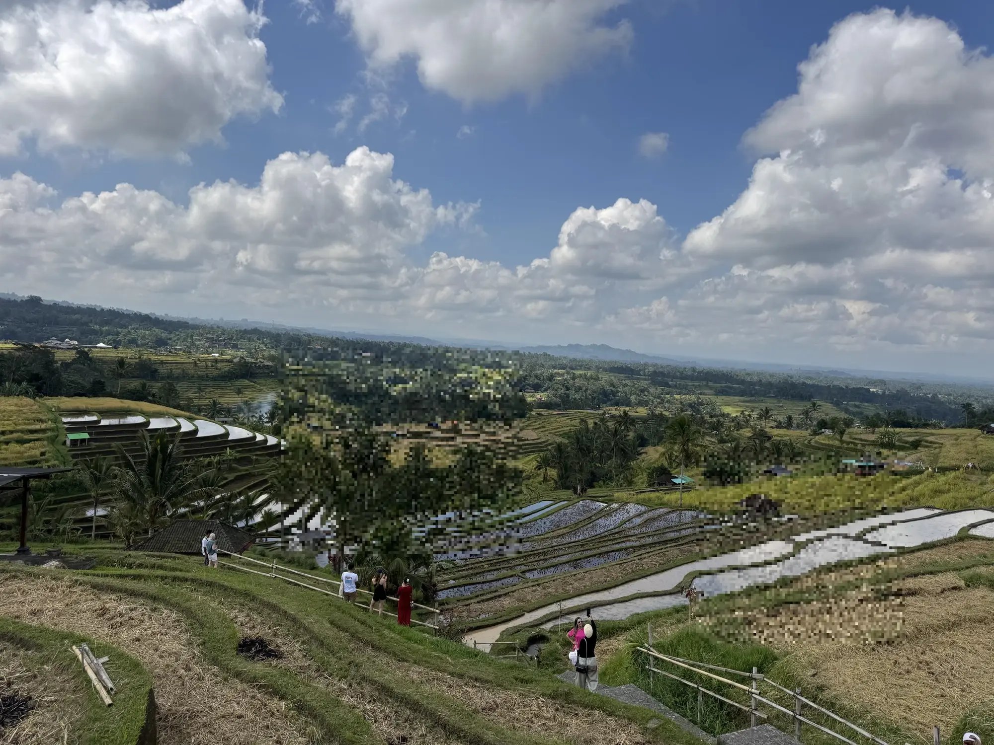 IDN1_jatiluwih_tanada_koukaku_010