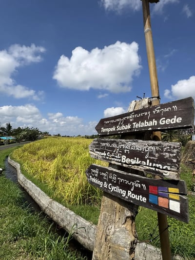 IDN1_jatiluwih_trekking_route_013