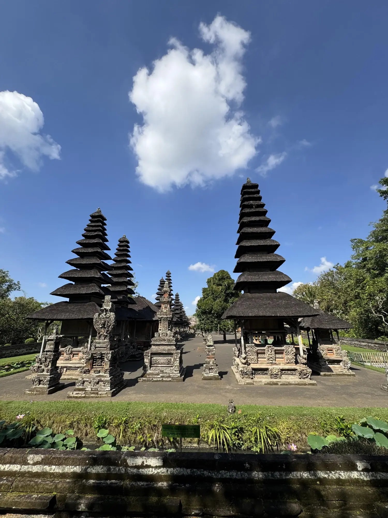 IDN1_tamanavun_meru_zenkei_001