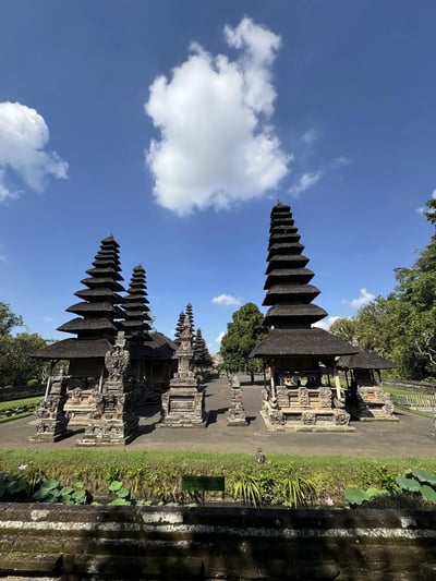 IDN1_tamanavun_meru_zenkei_001