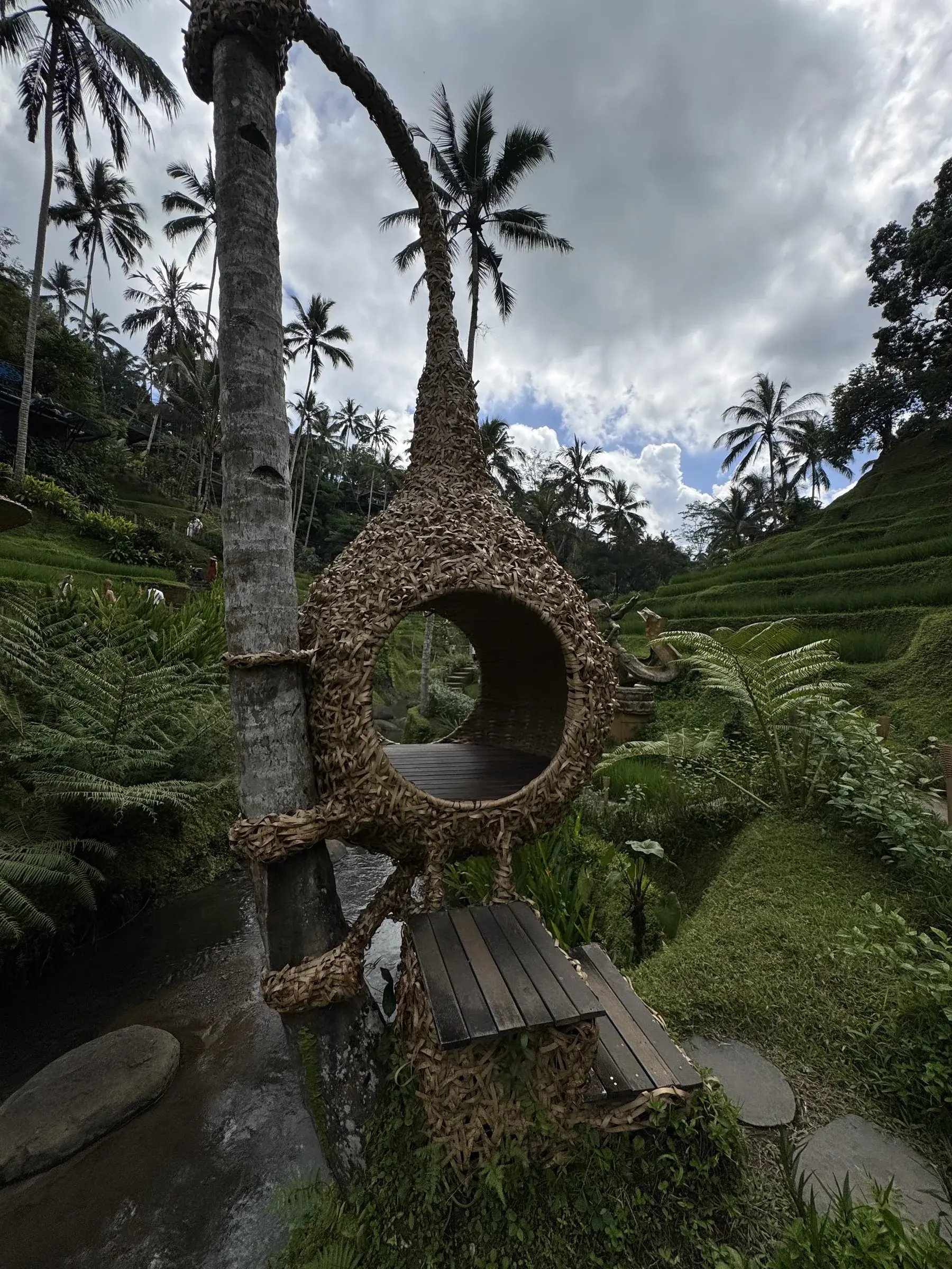 IDN2_alasharum_birdnest_photospot_007
