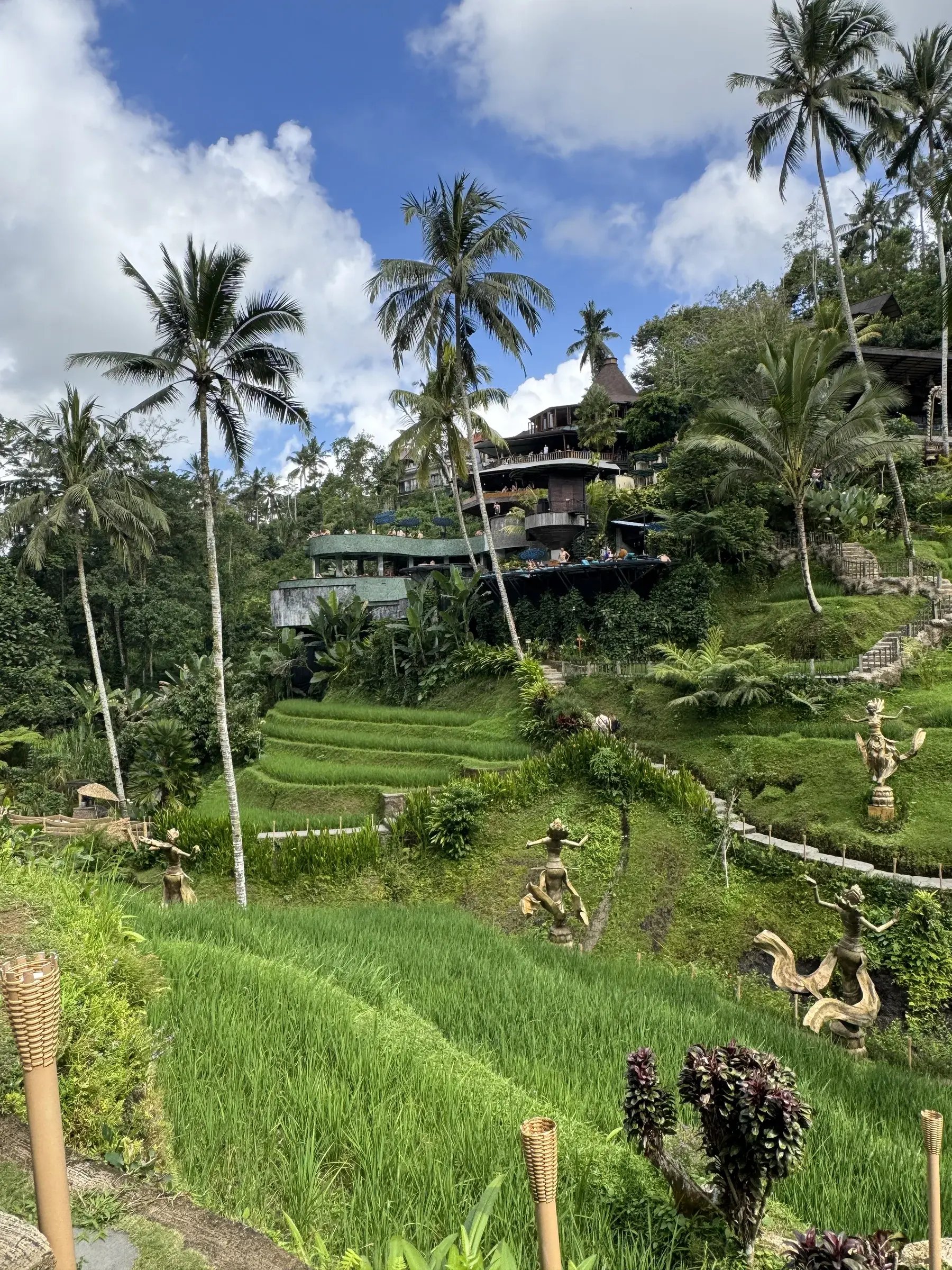 IDN2_alasharum_landscape_zenkei_003