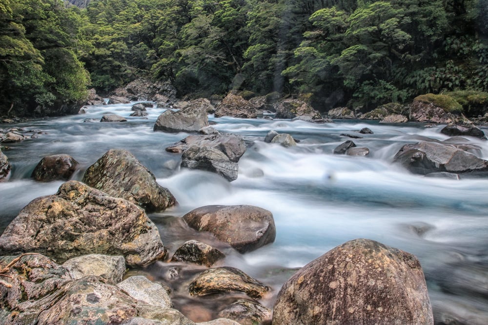 Milford Sound, Monkey Creek