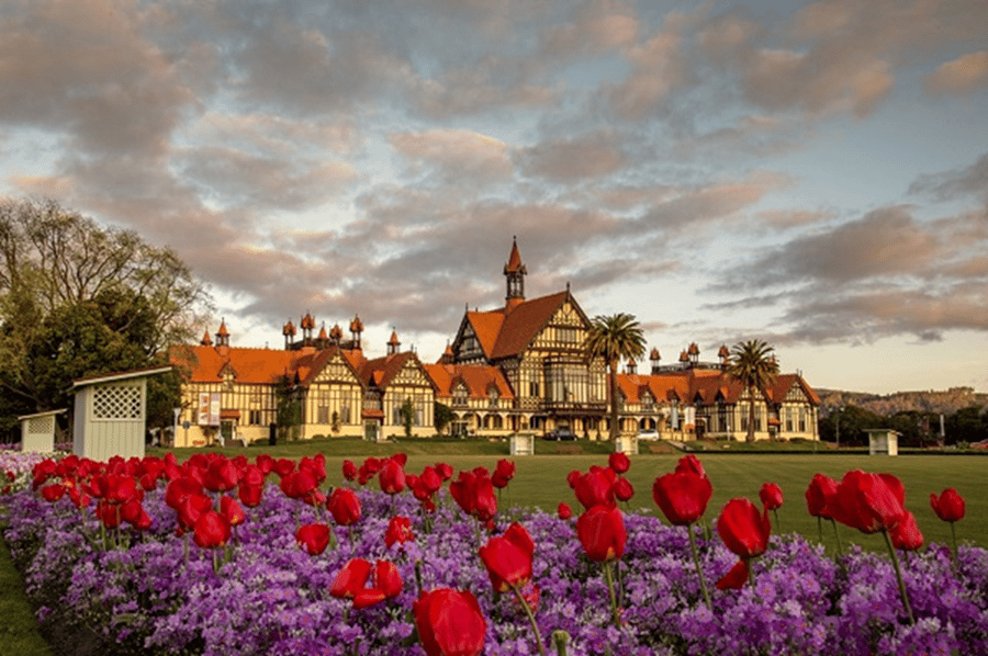 マオリの文化に触れる★ロトルア1泊2日観光