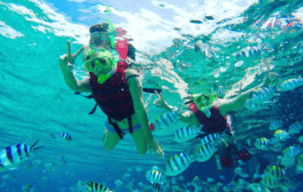 人気の2島巡り！ スルパ島＆ヒルトゥガン島