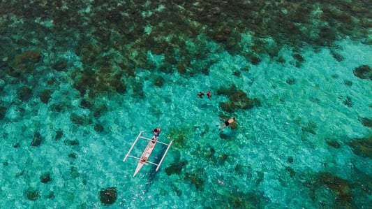 ターシャ＆チョコレートヒルズの展望台＆生演奏リバークルーズランチ付き＜日本語ガイド/ホテル往復送迎あり/フェリー乗船券＞