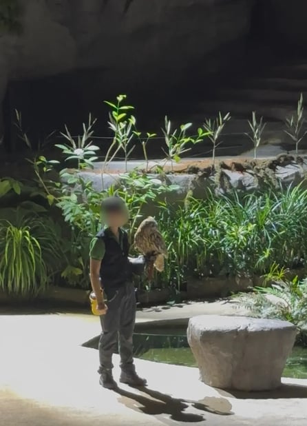 【ナイトサファリ 】優先乗車付マルチランゲージ（日本語ガイダンス）トラム確約＋アニマルショー（JTB座席指定）鑑賞＜往復送迎付／夕食付＞＜往復送迎付／夕食なし＞