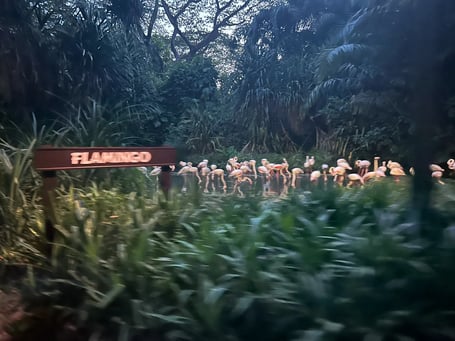 【ナイトサファリ 】優先乗車付マルチランゲージ（日本語ガイダンス）トラム確約＋アニマルショー（JTB座席指定）鑑賞＜往復送迎付／夕食付＞＜往復送迎付／夕食なし＞