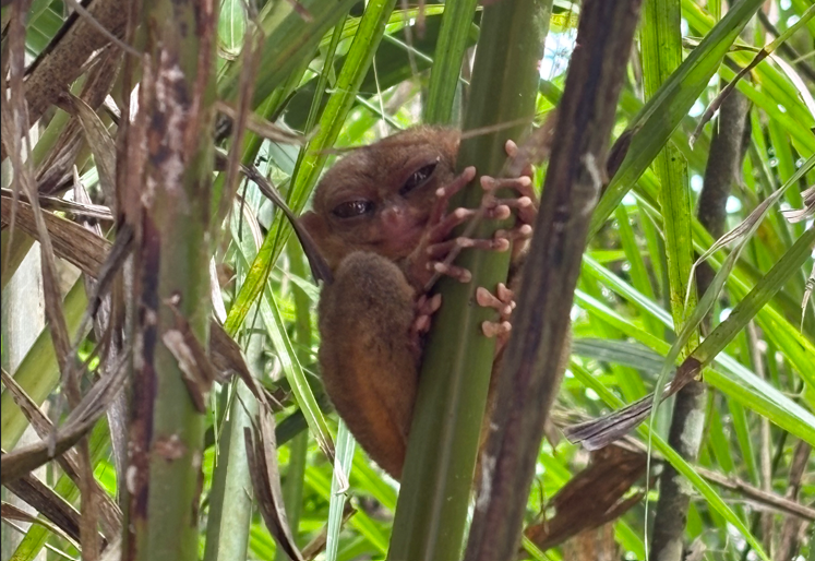 Screenshot 2026-03-17 132004