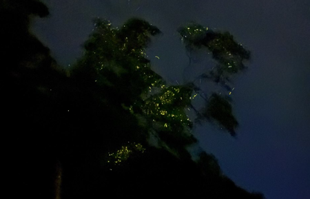 Screenshot 2026-03-17 132410