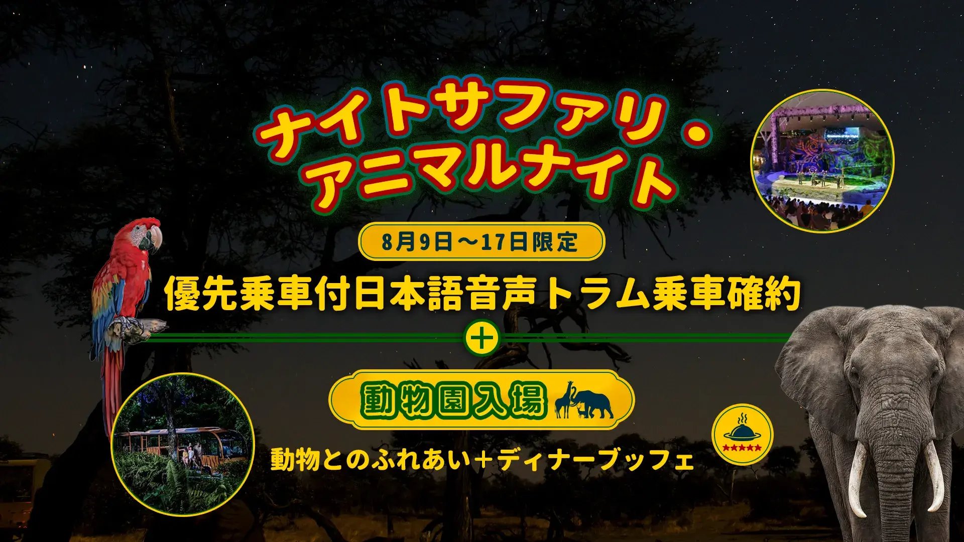 <8月9日~8月17日限定JTB特別企画>【ナイトサファリ・アニマルナイト】優先乗車付日本語音声トラム乗車確約+動物園入場(動物とのふれあいとディナーブッフェ)
