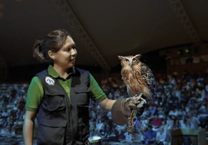 5月3日&4日 40名限定!JTBゴールデンウィークスペシャル企画【ナイトサファリ・イブニング イン ザ ワイルド】