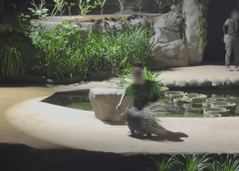 SGP2_アニマルショー横画像_006