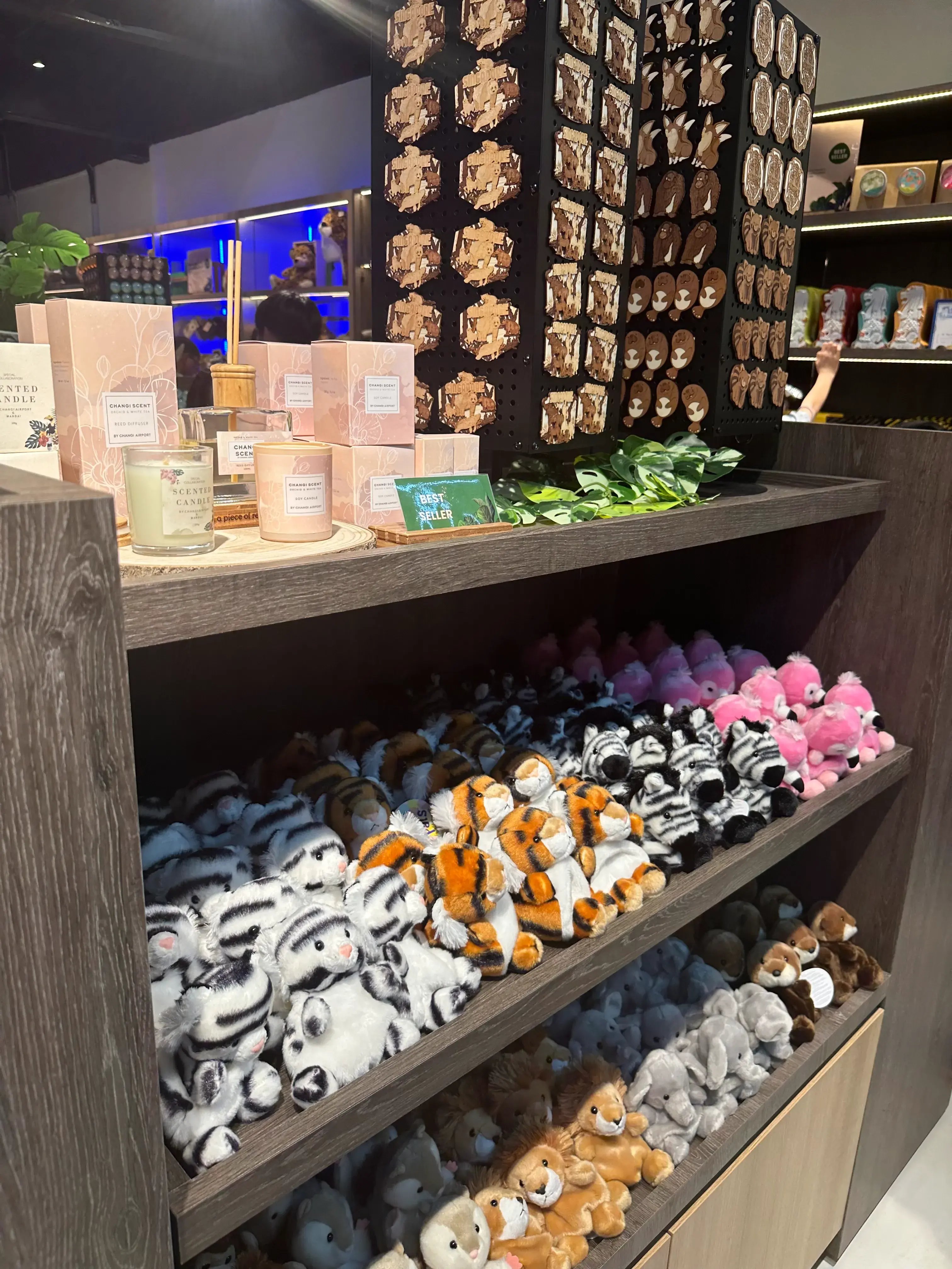 ナイトサファリ 】優先乗車付マルチランゲージ（日本語ガイダンス）トラム確約＋アニマルショー（JTB座席指定）鑑賞＜往復送迎付／夕食付＞＜往復送迎付／夕食なし＞