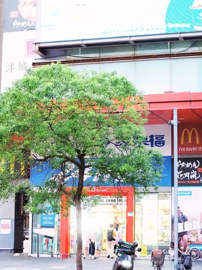 萬家福