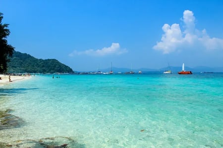 コーラル島１日観光＋エレファントトレッキング【日本語ガイド付】