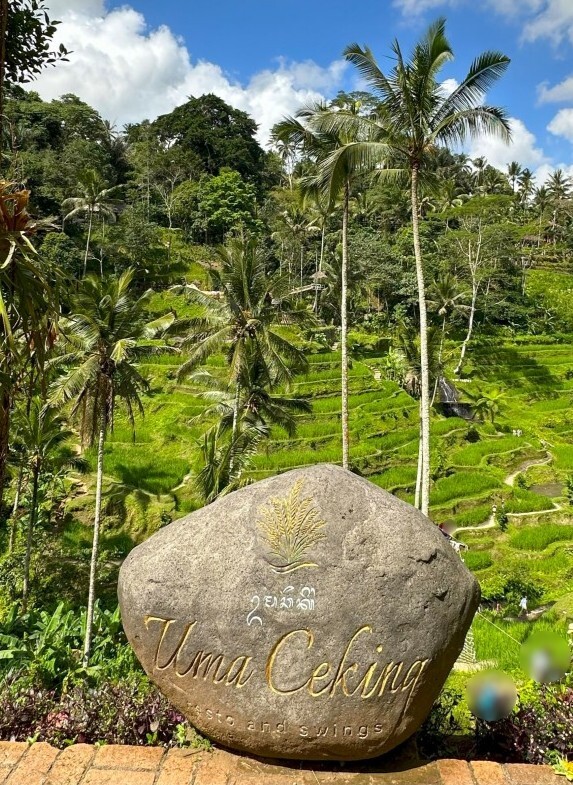 IDN-04-25-1119-002 石オブジェ