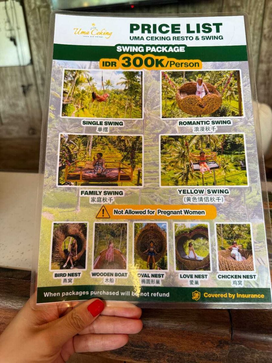 IDN-04-25-1119-004 料金縦