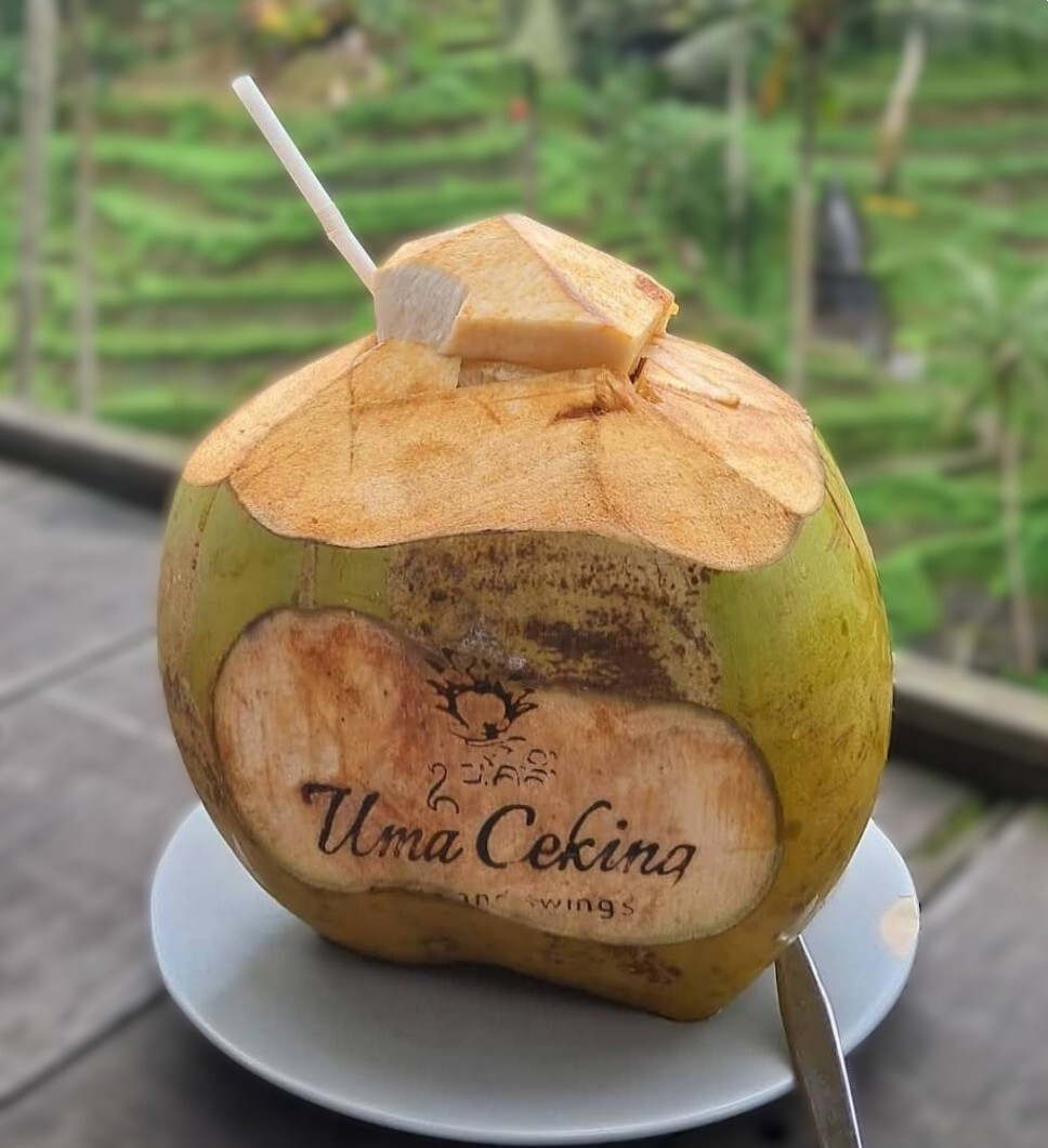 IDN-04-25-1119-018 ココナッツ