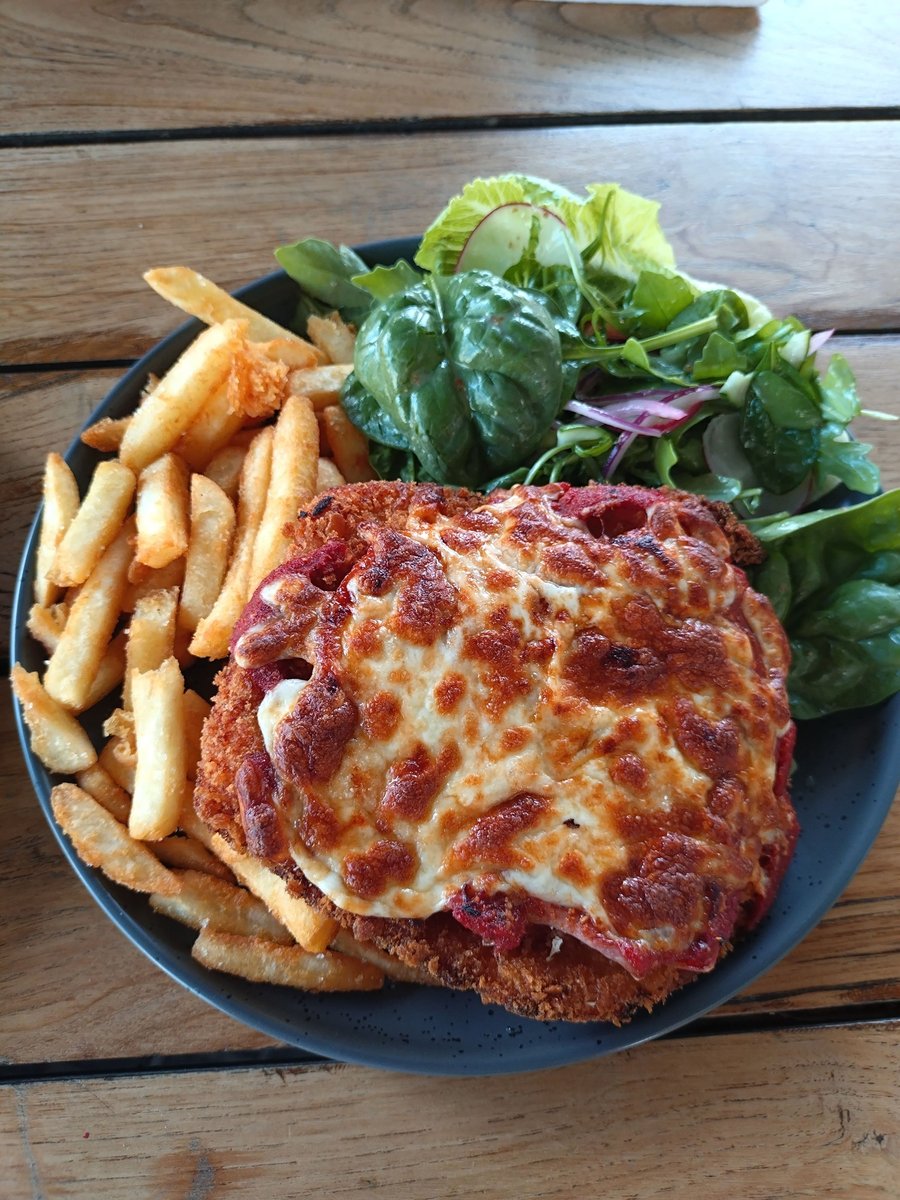 AUS-00-26-0122 チキンパルミジャーナ-1