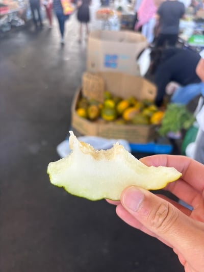 ハニーデューメロンの試食