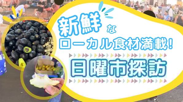 新鮮なローカル食材満載！日曜市探訪