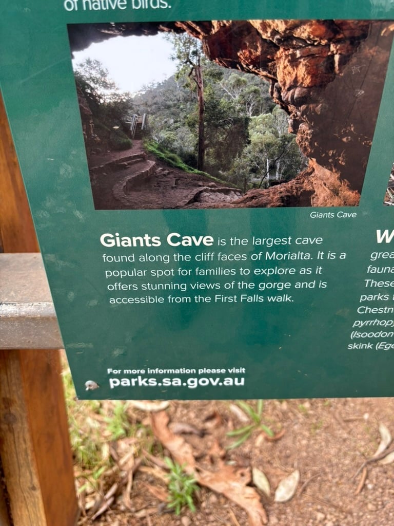 AUS-03-25-0911-001 Giants Cave看板