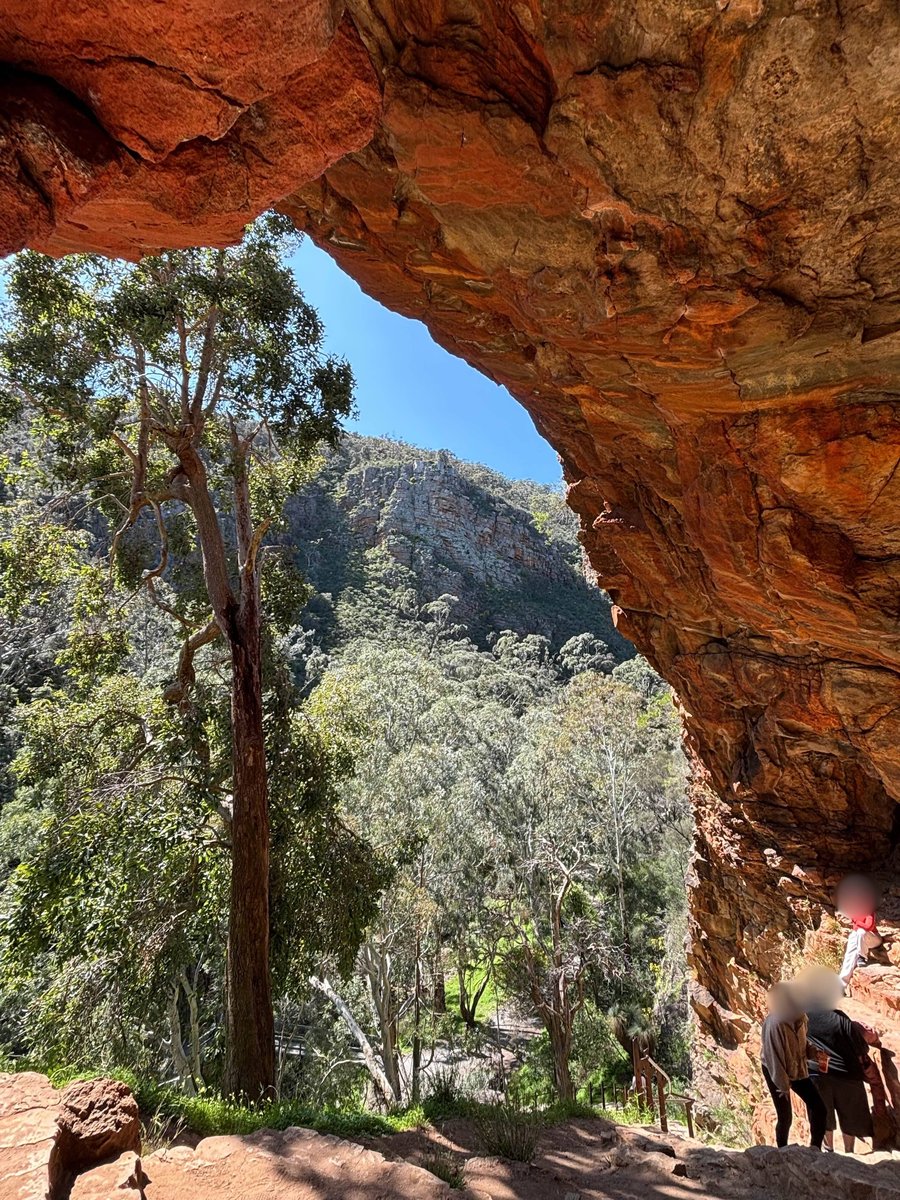 AUS-03-25-0911-008 Giants Caveからの風景
