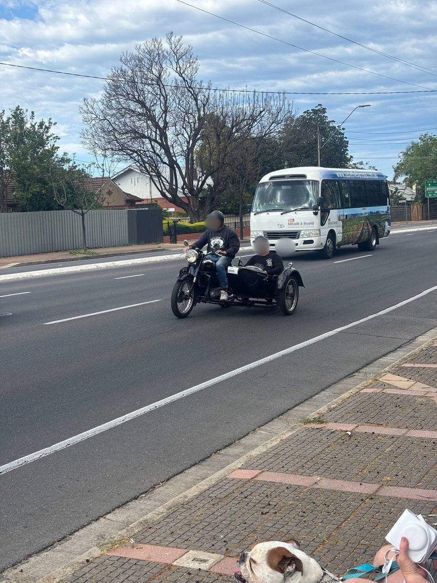 AUS-03-25-1203-005-クラシックカー4